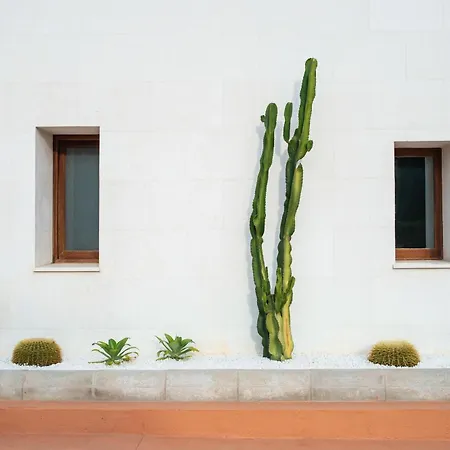 Hotel Menorca - Adults Recommended - By Pierre & Premium 3*